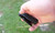Camillus Choff Black Folding Knife