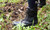 Camillus Heater II Neck Knife