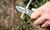 Camillus Bushcrafter Mini Folding Knife