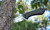 Camillus Chunk Folding Knife