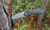 Camillus Rovax Black Folding Knife