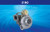 Borgwarner Airwerks Turbo S1BG, 320HP