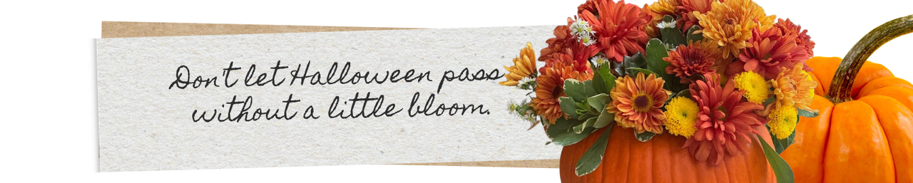 Halloween 10/31
