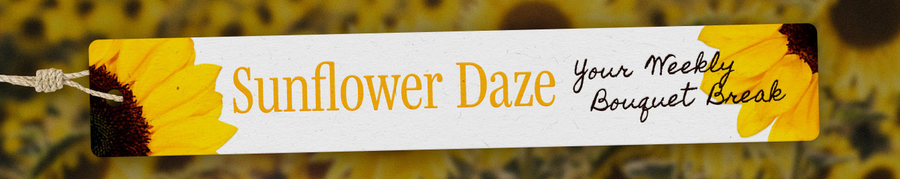 Sunflower Daze