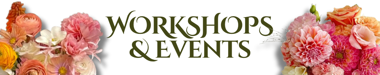 Workshops & Events