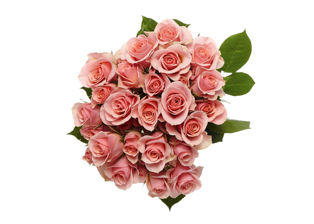 Peach Spray Rose – Bulk Flowers | Phoenix AZ