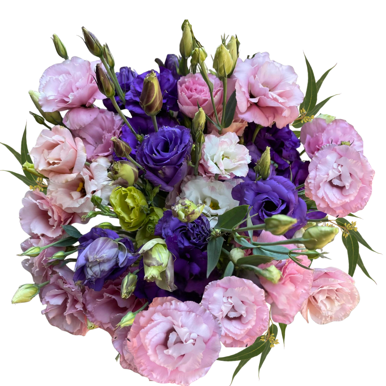 Wild About Lisianthus | American Grown Flowers Phoenix AZ