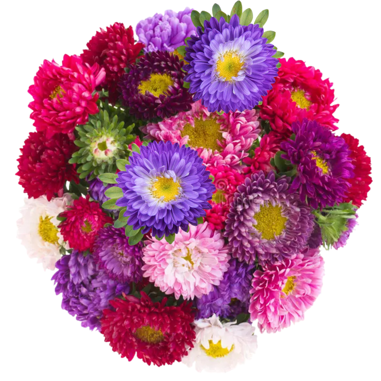 Aster View | American Grown Matsumoto Aster Bouquet Phoenix AZ