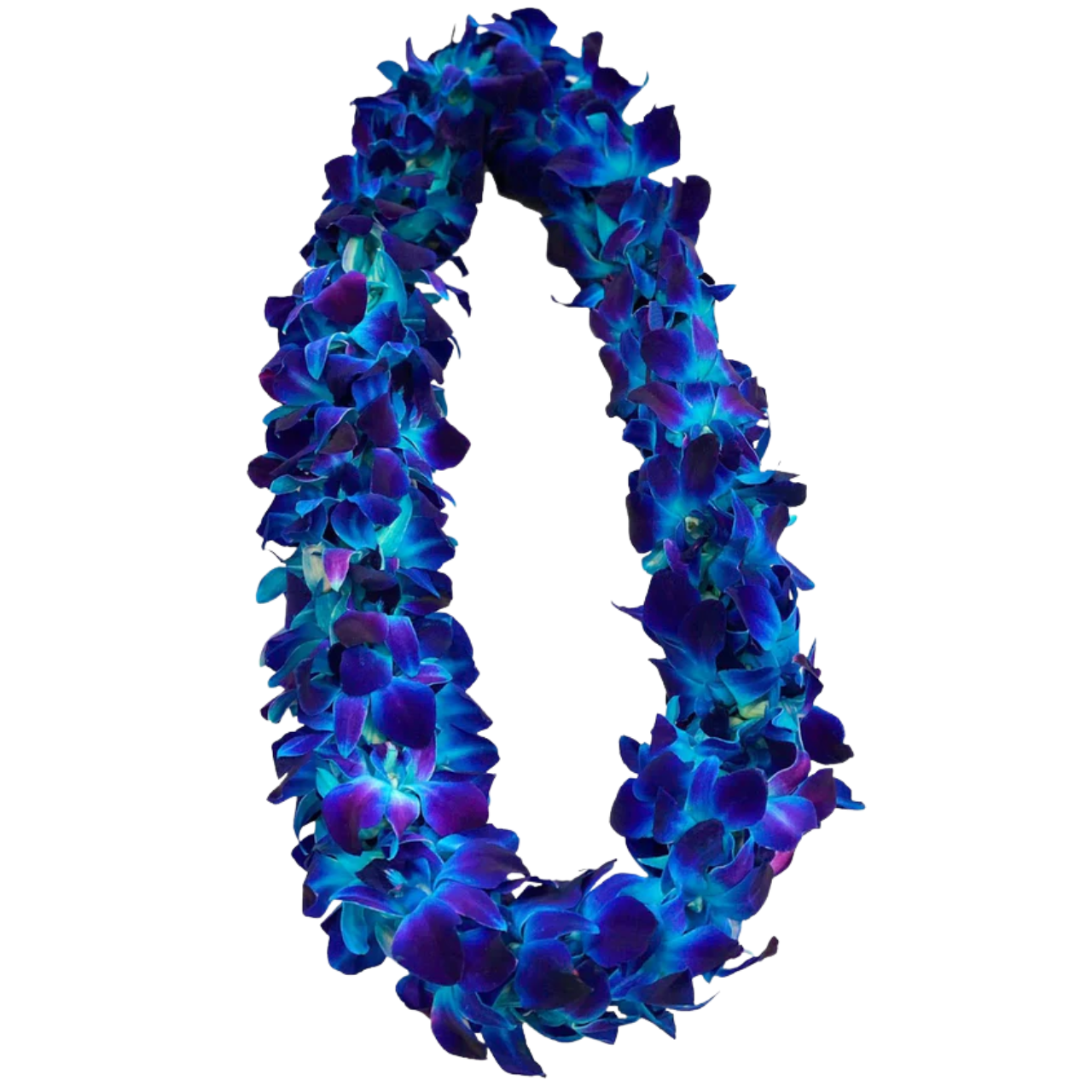 Blue Orchid Lei for Graduation – Phoenix