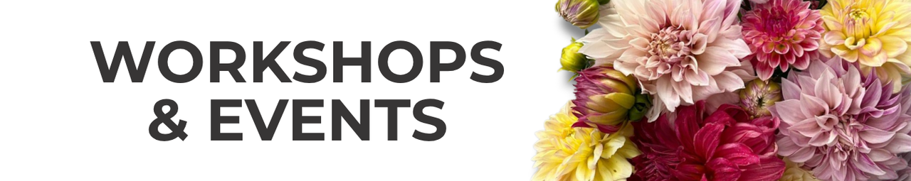 Workshops & Events
