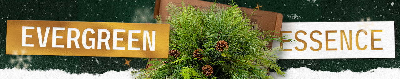 Evergreen Essence