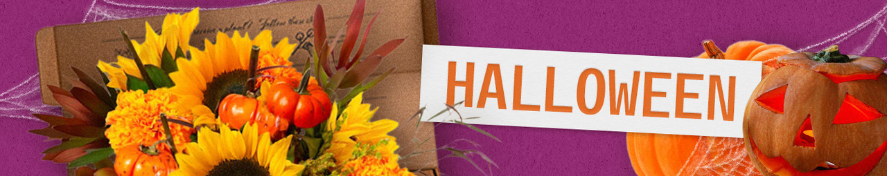 Halloween 10/31