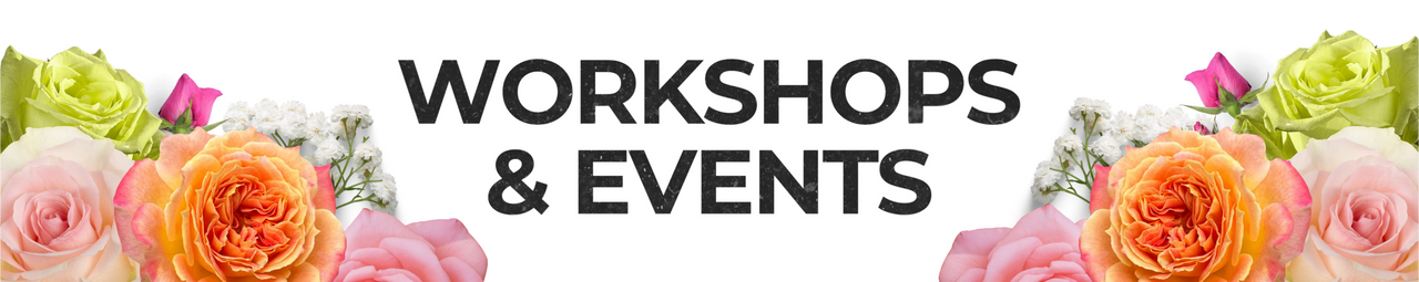 Workshops & Events