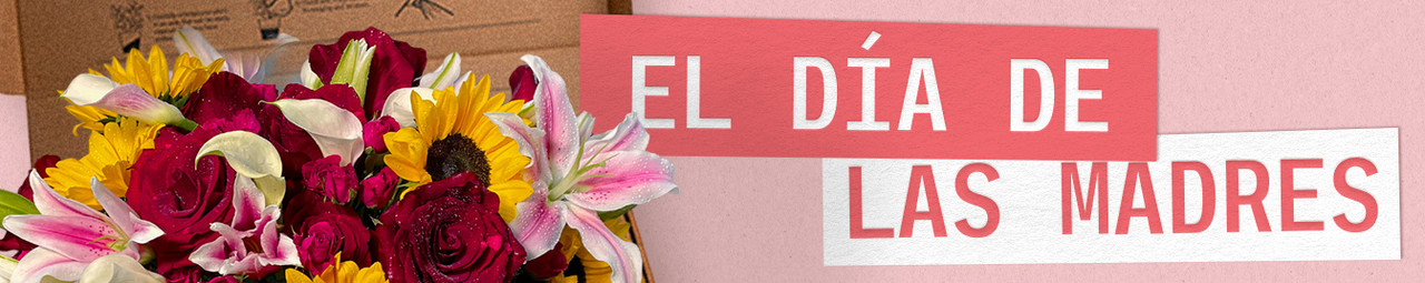 Día de la Madre