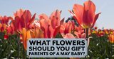 What Flowers Should You Gift Parents of a May Baby?