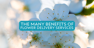 The Many Benefits of Flower Delivery Services