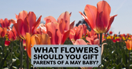 What Flowers Should You Gift Parents of a May Baby?