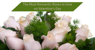 The Most Romantic Roses to Give on Valentine's Day