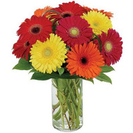 What to Expect When Ordering from a Local Florist in Phoenix, Arizona