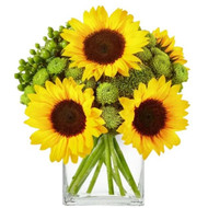 Top Floral Arrangements in Phoenix, AZ to Elevate Your Flower Experience