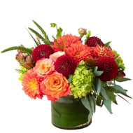 Heat-Resistant Flowers in Phoenix, AZ: Transition to Fall