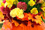 Seasonal Pumpkin Arrangement