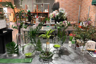 Go Green – Designing with Foliage Class