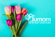 Local Florist Donates to UMOM for Mother’s Day