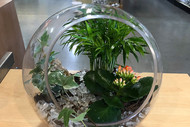 DIY Your Own Terrarium Open House