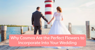 Why Cosmos Are the Perfect Flowers to Incorporate Into Your Wedding