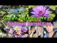 From Pond Hobby to Urban Oasis: Discover the Beauty and Sustainability of Coronado Waterlilies