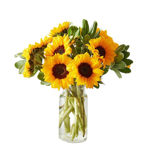 Vase of 10 Sunflowers