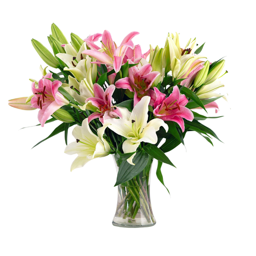 Lavish Lilies