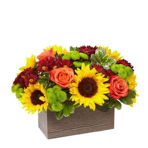 It's Fall, Ya'll It's Fall, Ya'll