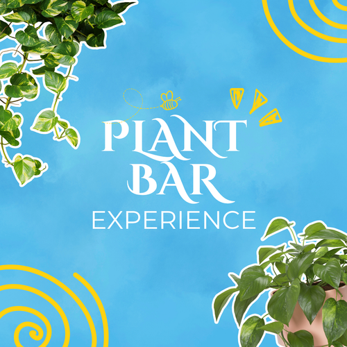Plant Bar Workshop Experience