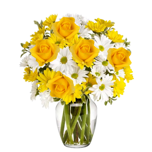 Lemoncello floral arrangement with white daisies, yellow daisies, and yellow roses in a clear glass vase, Phoenix florist