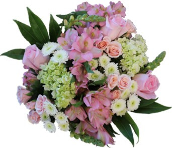 Blissful Blossoms