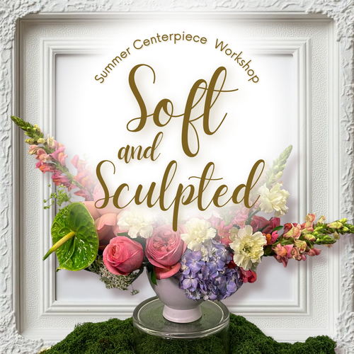 Soft & Sculpted