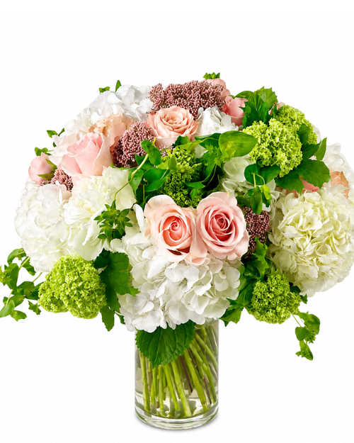 Rose Daydream blush rose, white hydrangea, and green viburnum arrangement in a clear glass cylinder vase for flower delivery in Phoenix, Arizona.