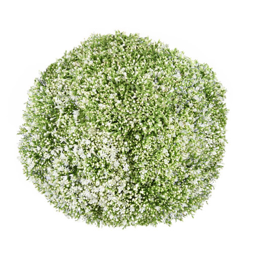 White Trachelium – Bulk Filler Flower – Phoenix Arizona