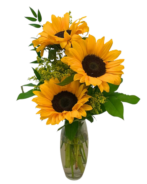 Little Miss Sunshine budvase with 3 sunflowers and solidago – Phoenix AZ