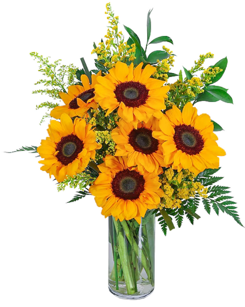 Shine On sunflower bouquet with solidago and greenery – Phoenix AZ
