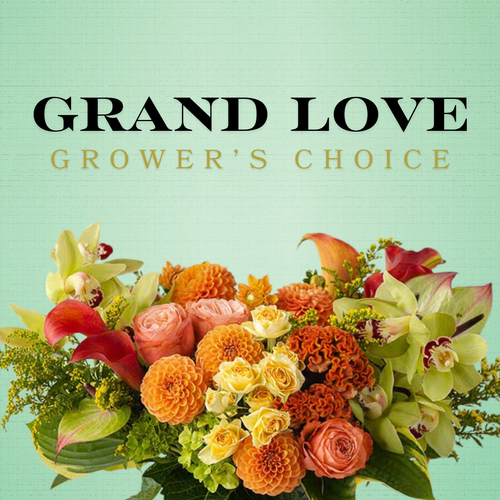 Grand Love Grower’s Choice bouquet – farm fresh flowers Phoenix, AZ