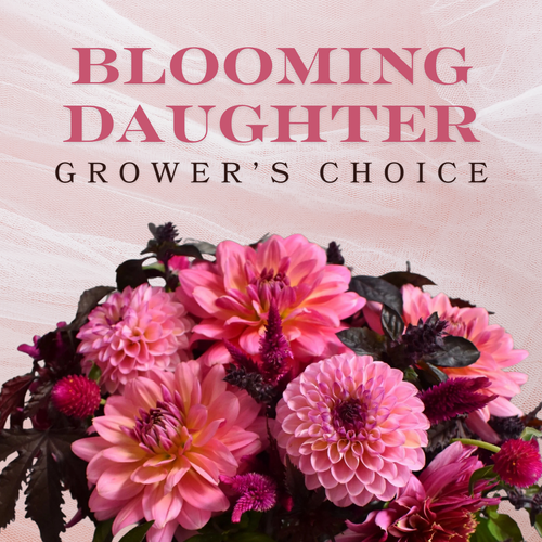 Blooming Daughter Grower’s Choice bouquet – farm fresh flowers Phoenix, AZ