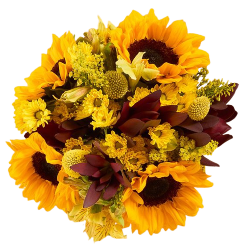 Farm fresh Field of Gold bouquet with sunflowers and yellow daisies in Phoenix AZ