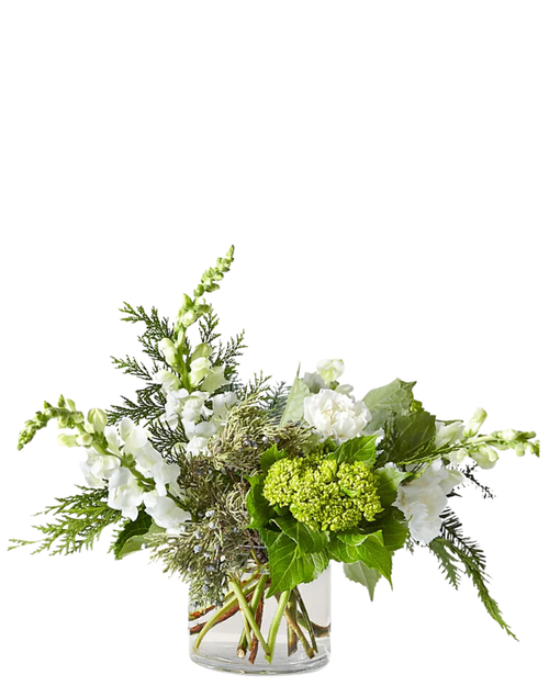 Evergreen Snowrise winter arrangement with white snapdragons and evergreens in Phoenix AZ