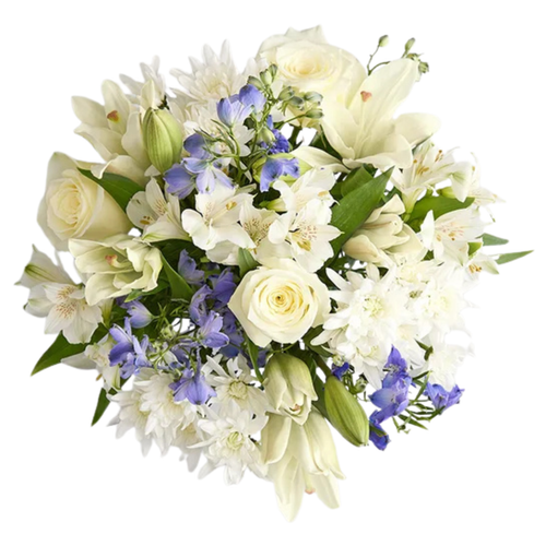Midnight Frost winter bouquet with white flowers and blue delphinium — Phoenix AZ