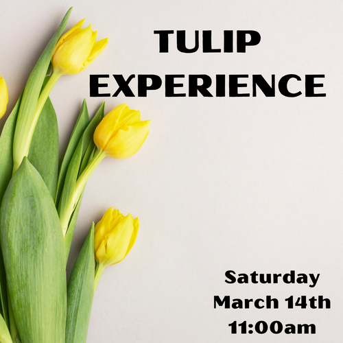Tulip floral design experience at Arizona Flower Market in Phoenix where participants create their own tulip arrangement