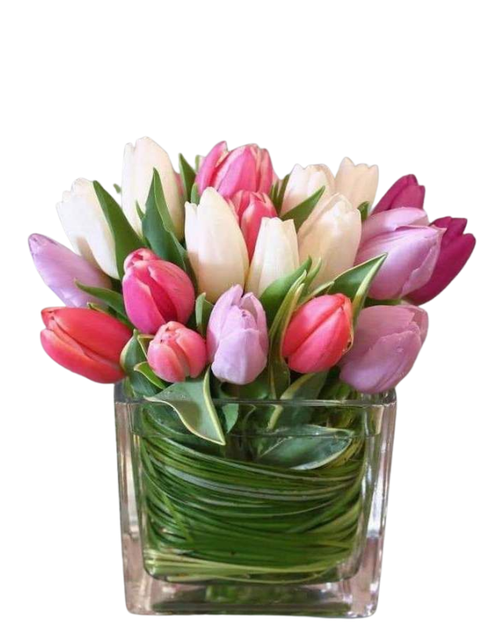 Tulip Love Garden pink blush and white tulip arrangement in cube vase – tulip flower delivery Phoenix Arizona