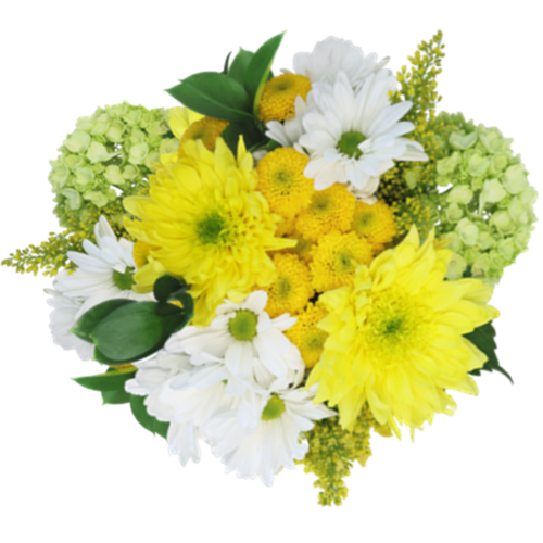 Emerald Vale Farm Fresh Bouquet with green hydrangea, yellow mums, white daisies, and solidago at Phoenix Flower Market